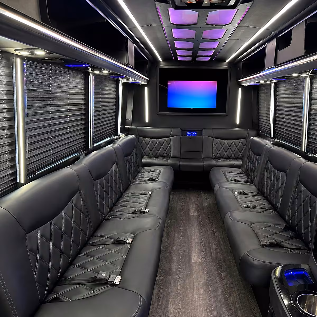 50 passenger party bus interior