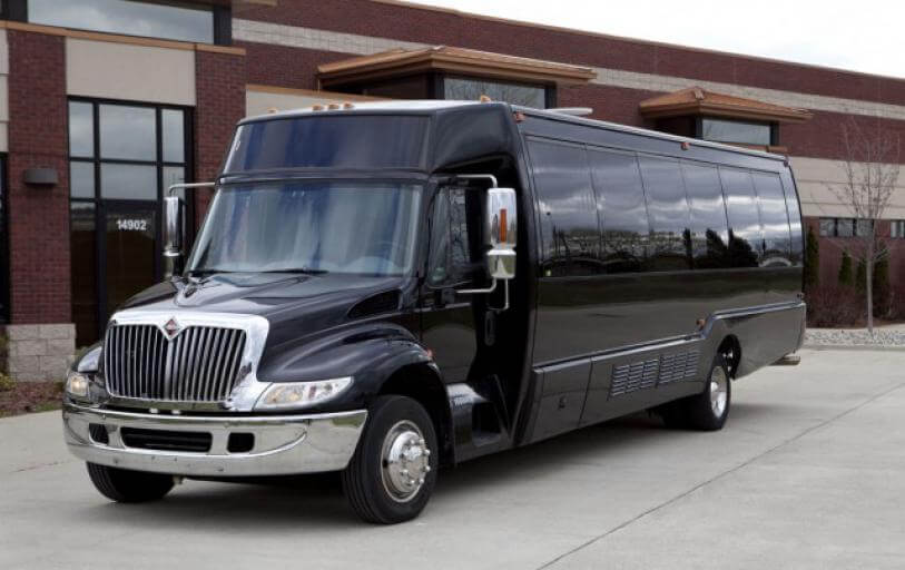 Baton Rouge 20 Passenger Party Bus